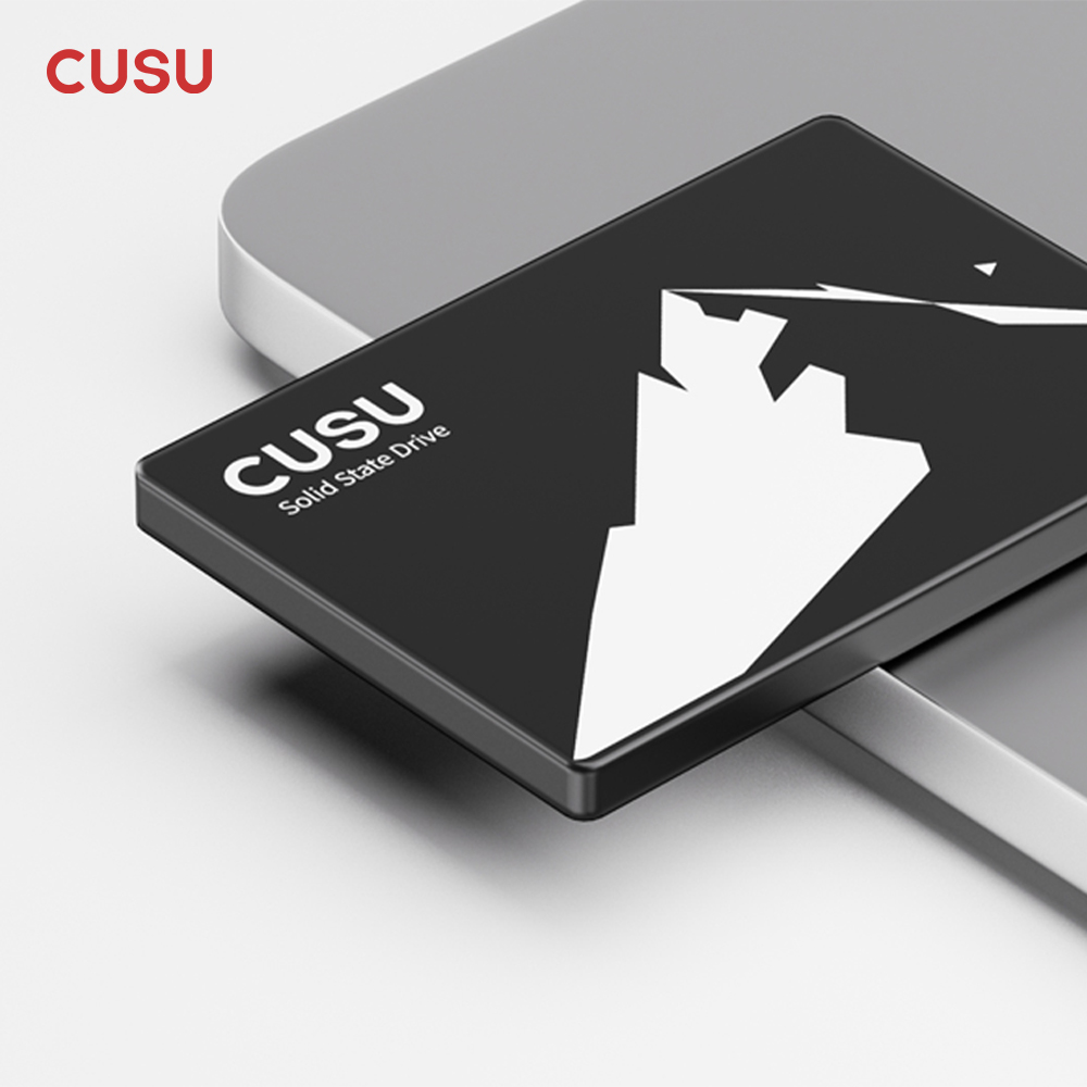 CUSU SSD 1 ТБ 512 ГБ 256 ГБ 12 – обзор и цена Ssd 500Gb